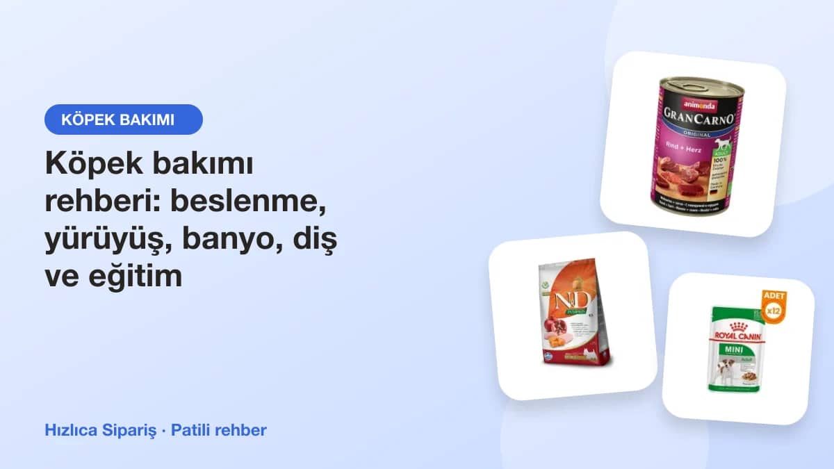 Köpek maması, mama kabı, tasma, tarak, şampuan ve oyuncaklardan oluşan köpek bakım ürünleri kolajı